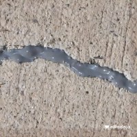 Komentar korisnika 1