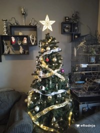 Komentar korisnika 5